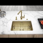 FRANKE MYTHOS BXM 210/110-50 F-INOX золото