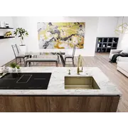 FRANKE MYTHOS BXM 210/110-50 F-INOX золото
