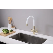 PAULMARK Salix Sa213419-BRw бронза, белый шланг