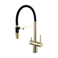 PAULMARK Gravity Stärke Gr213188-G золото