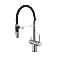 PAULMARK Gravity Stärke Gr213888-BS с гибким изливом